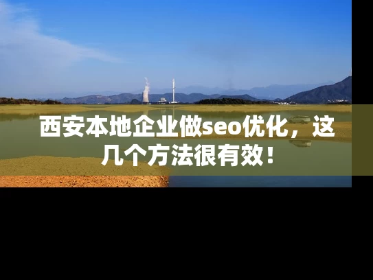 西安本地企业做seo优化，这几个方法很有效！