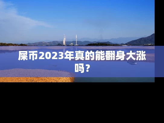 屎币2023年真的能翻身大涨吗？