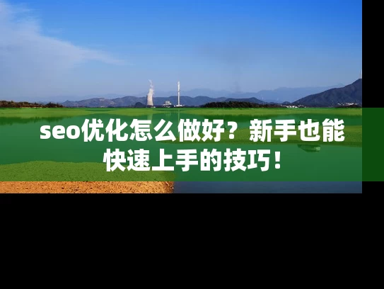 seo优化怎么做好？新手也能快速上手的技巧！