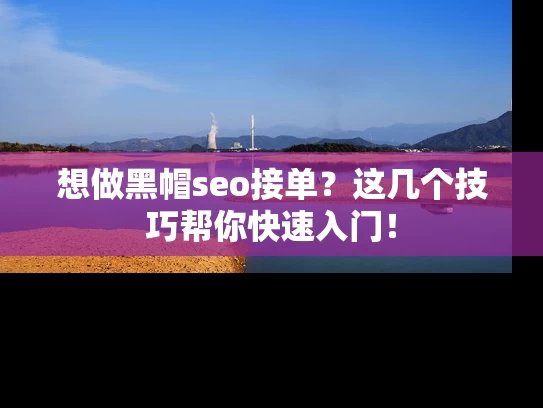 想做黑帽seo接单？这几个技巧帮你快速入门！