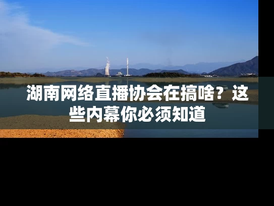湖南网络直播协会在搞啥？这些内幕你必须知道
