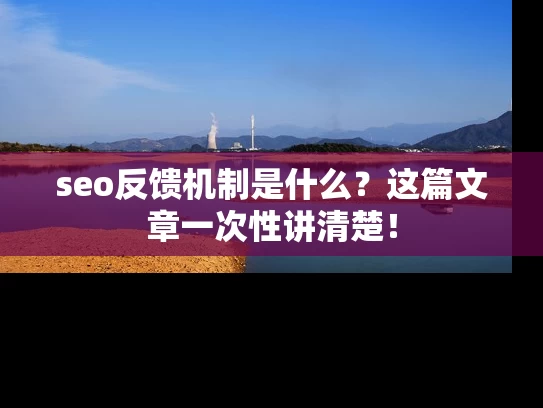 seo反馈机制是什么？这篇文章一次性讲清楚！
