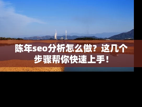 陈年seo分析怎么做？这几个步骤帮你快速上手！