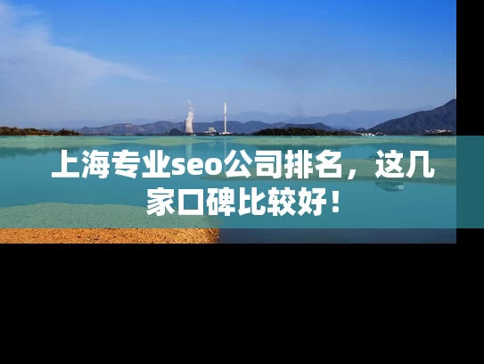 上海专业seo公司排名，这几家口碑比较好！