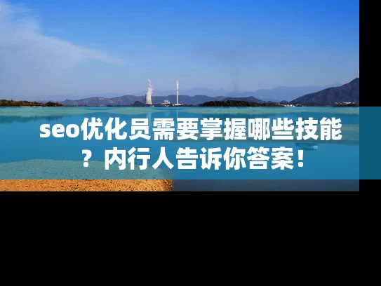 seo优化员需要掌握哪些技能？内行人告诉你答案！