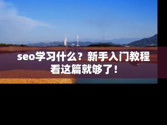 seo学习什么？新手入门教程看这篇就够了！