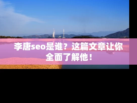 李唐seo是谁？这篇文章让你全面了解他！