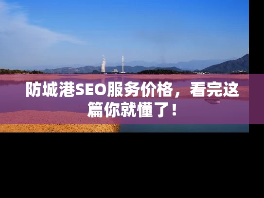 防城港SEO服务价格，看完这篇你就懂了！