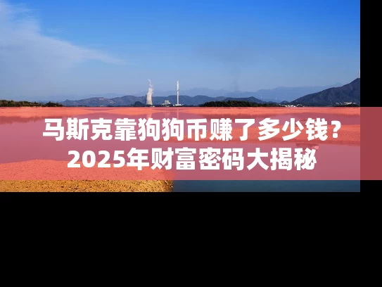 马斯克靠狗狗币赚了多少钱？2025年财富密码大揭秘