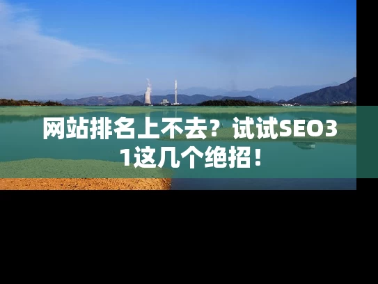网站排名上不去？试试SEO31这几个绝招！