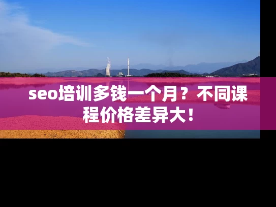 seo培训多钱一个月？不同课程价格差异大！