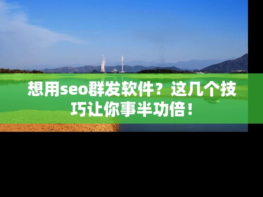 想用seo群发软件？这几个技巧让你事半功倍！