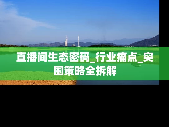 直播间生态密码_行业痛点_突围策略全拆解