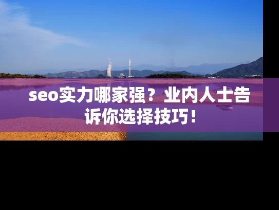 seo实力哪家强？业内人士告诉你选择技巧！