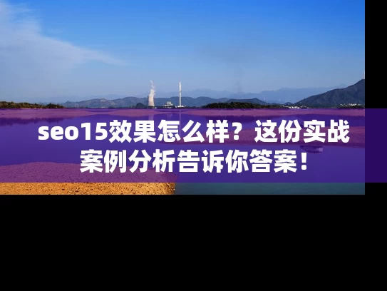 seo15效果怎么样？这份实战案例分析告诉你答案！