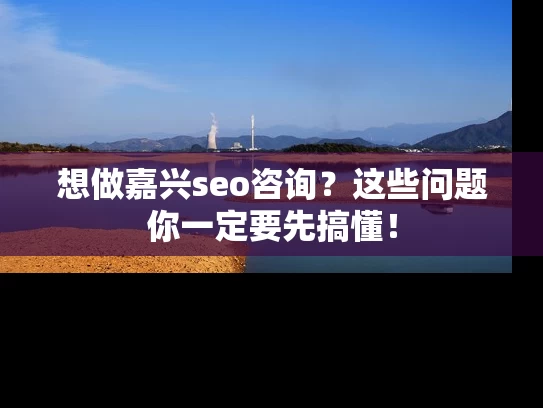 想做嘉兴seo咨询？这些问题你一定要先搞懂！
