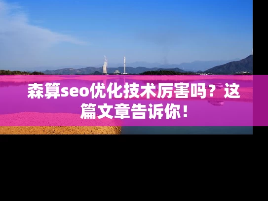 森算seo优化技术厉害吗？这篇文章告诉你！