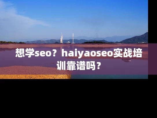 想学seo？haiyaoseo实战培训靠谱吗？