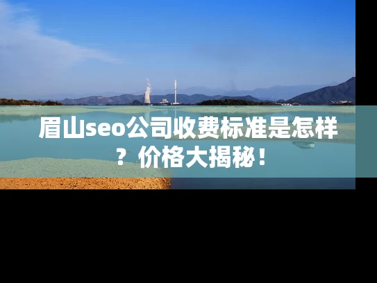 眉山seo公司收费标准是怎样？价格大揭秘！