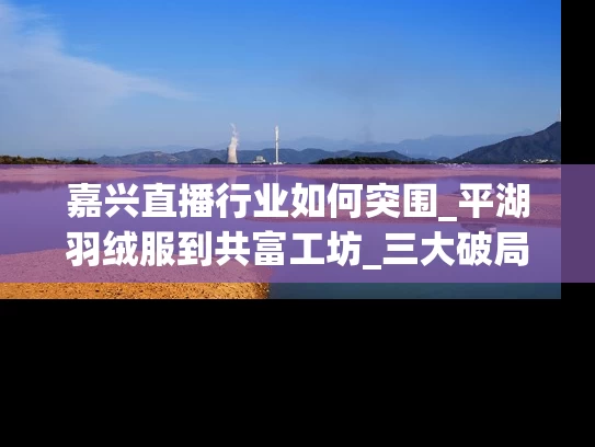 嘉兴直播行业如何突围_平湖羽绒服到共富工坊_三大破局路径解析