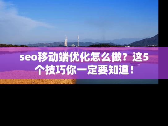 seo移动端优化怎么做？这5个技巧你一定要知道！