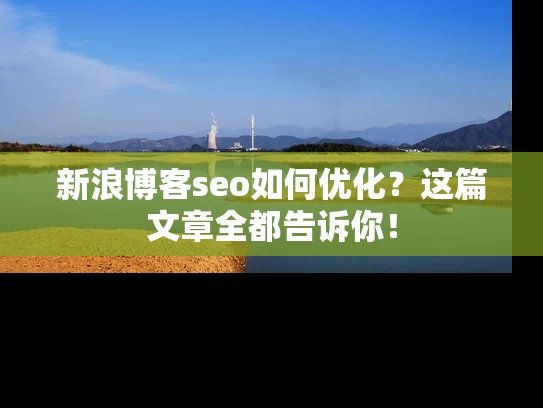 新浪博客seo如何优化？这篇文章全都告诉你！