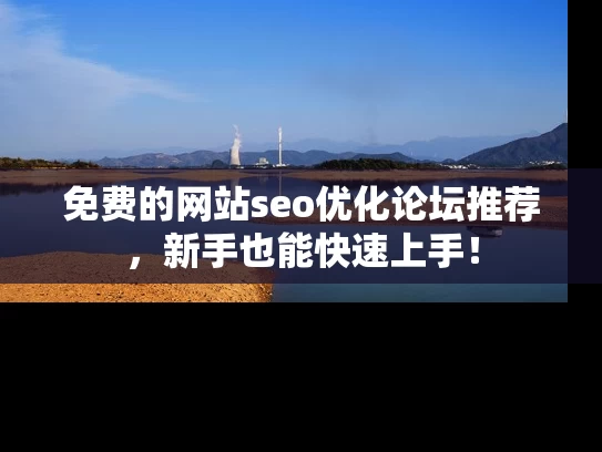 免费的网站seo优化论坛推荐，新手也能快速上手！
