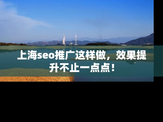 上海seo推广这样做，效果提升不止一点点！
