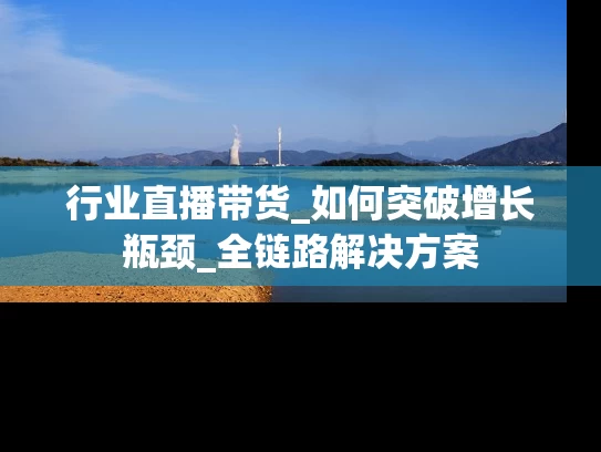 行业直播带货_如何突破增长瓶颈_全链路解决方案