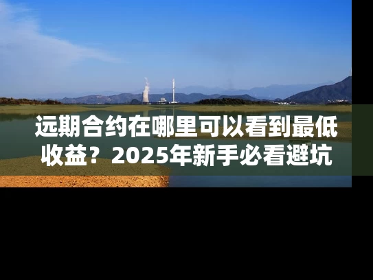 远期合约在哪里可以看到最低收益？2025年新手必看避坑指南