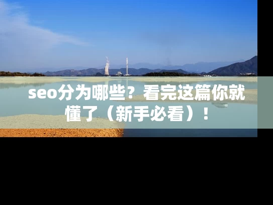 seo分为哪些？看完这篇你就懂了（新手必看）！