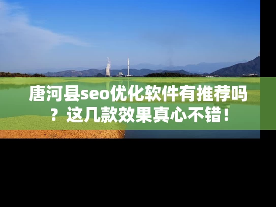 唐河县seo优化软件有推荐吗？这几款效果真心不错！