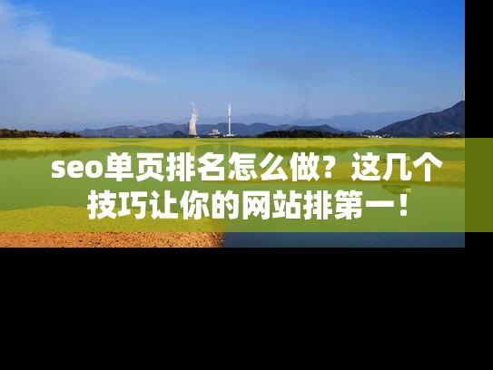 seo单页排名怎么做？这几个技巧让你的网站排第一！