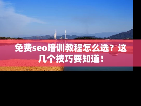 免费seo培训教程怎么选？这几个技巧要知道！