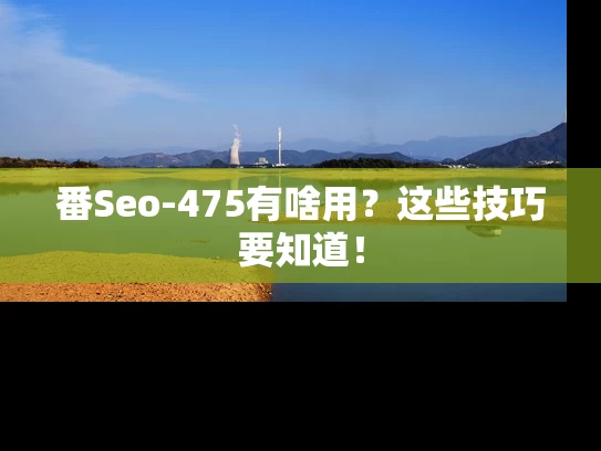 番Seo-475有啥用？这些技巧要知道！