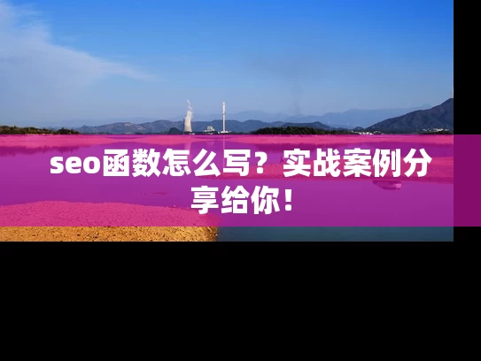 seo函数怎么写？实战案例分享给你！