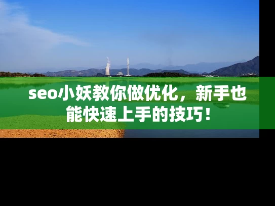 seo小妖教你做优化，新手也能快速上手的技巧！