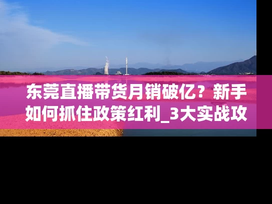 东莞直播带货月销破亿？新手如何抓住政策红利_3大实战攻略揭秘