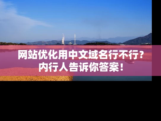 网站优化用中文域名行不行？内行人告诉你答案！