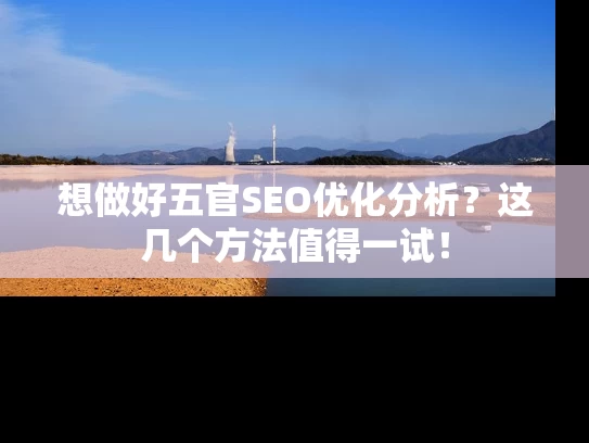 想做好五官SEO优化分析？这几个方法值得一试！