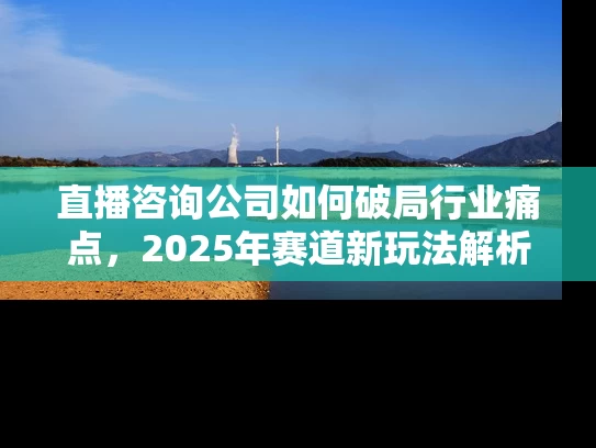 直播咨询公司如何破局行业痛点，2025年赛道新玩法解析