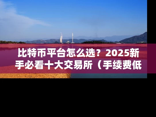 比特币平台怎么选？2025新手必看十大交易所（手续费低至0.075%）