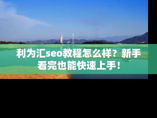 利为汇seo教程怎么样？新手看完也能快速上手！