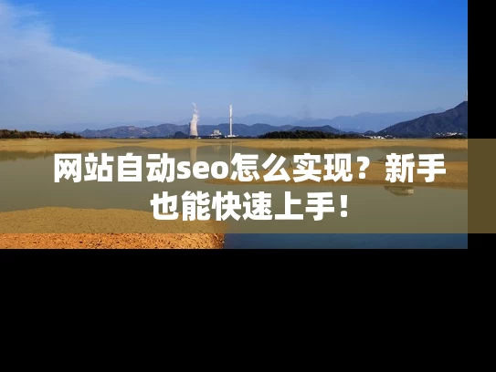网站自动seo怎么实现？新手也能快速上手！