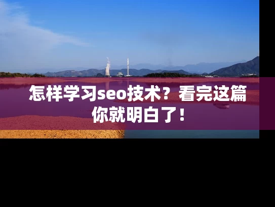 怎样学习seo技术？看完这篇你就明白了！