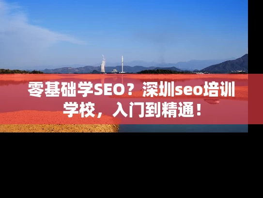 零基础学SEO？深圳seo培训学校，入门到精通！