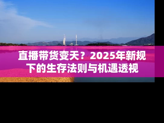 直播带货变天？2025年新规下的生存法则与机遇透视