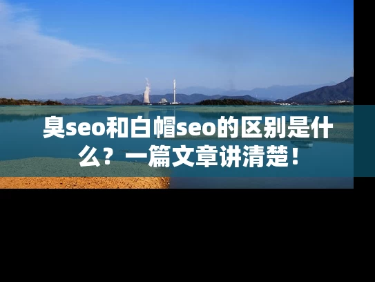 臭seo和白帽seo的区别是什么？一篇文章讲清楚！