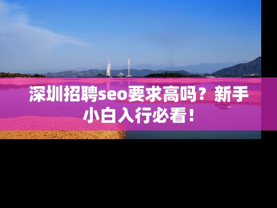 深圳招聘seo要求高吗？新手小白入行必看！