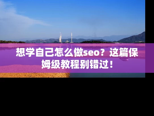 想学自己怎么做seo？这篇保姆级教程别错过！